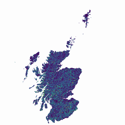 Export Image