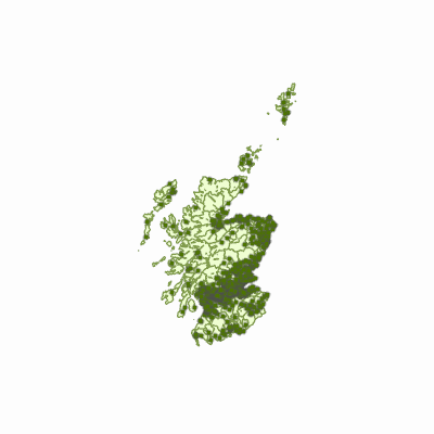 Export Image