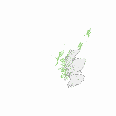 Export Image