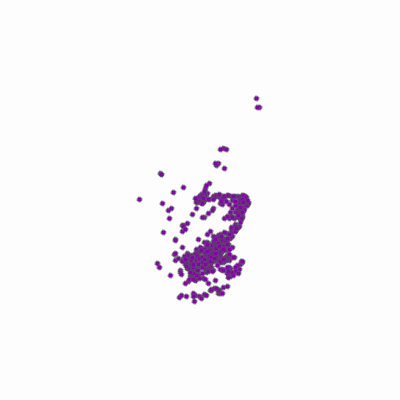 Export Image