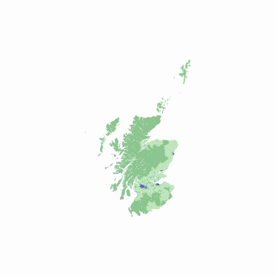 Export Image